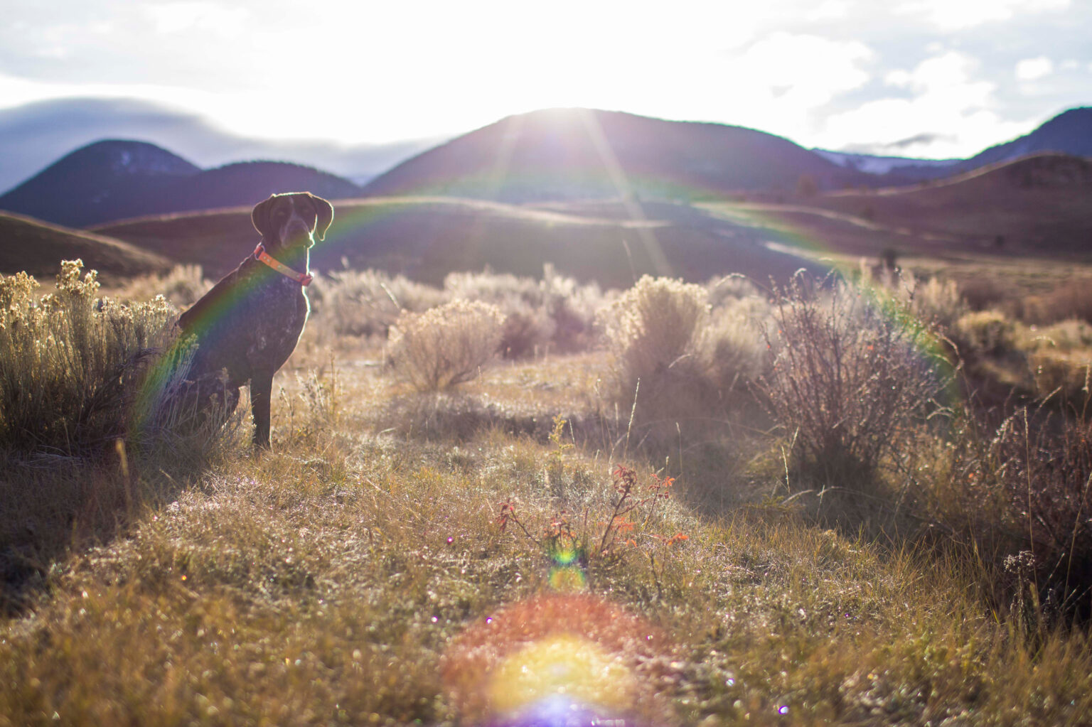 Neighborhood Explore Bozeman Haymaker Apartments Near MSU